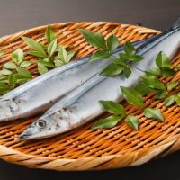魚を食べると育毛・薄毛対策できる？魚に含まれるDHA・EPAに注目！